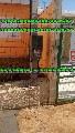 Foto 3 - Anncio 45-618171